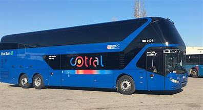 60 bus cotral
