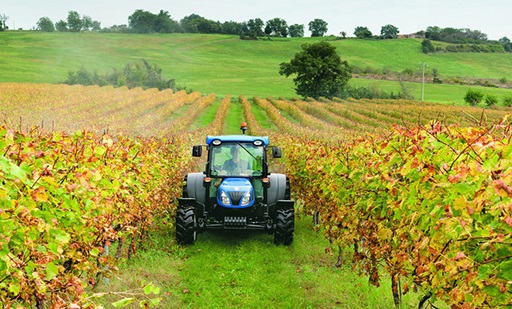 Il brusco abbassamento delle temperature danneggia le coltivazioni