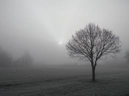 Domani sole e nebbia