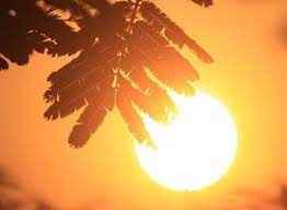 Caldo e sole record