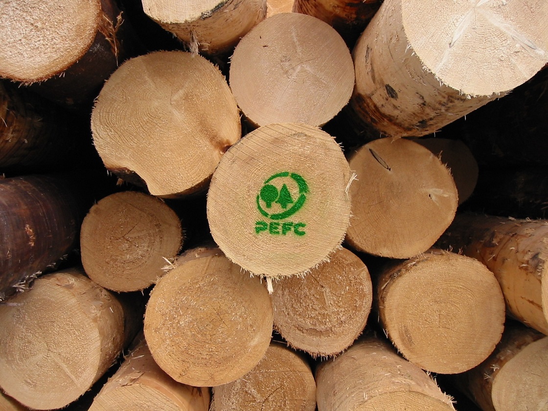 La Giornata Internazionale delle Foreste 2022