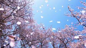 Settimana di Primavera