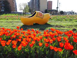 Apre a Roma Tulipark