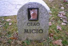 Sì al cimitero degli animali