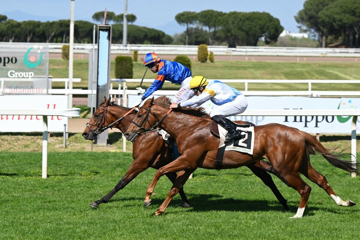 Grande sabato in rosa a Capannelle, dedicato al galoppo