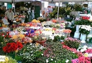 Mercato dei fiori trasloca