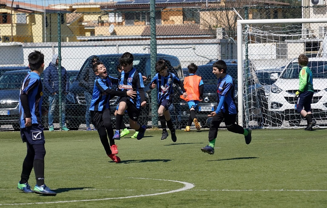 Il Pulcino d’Oro ha preso il volo nel Lazio