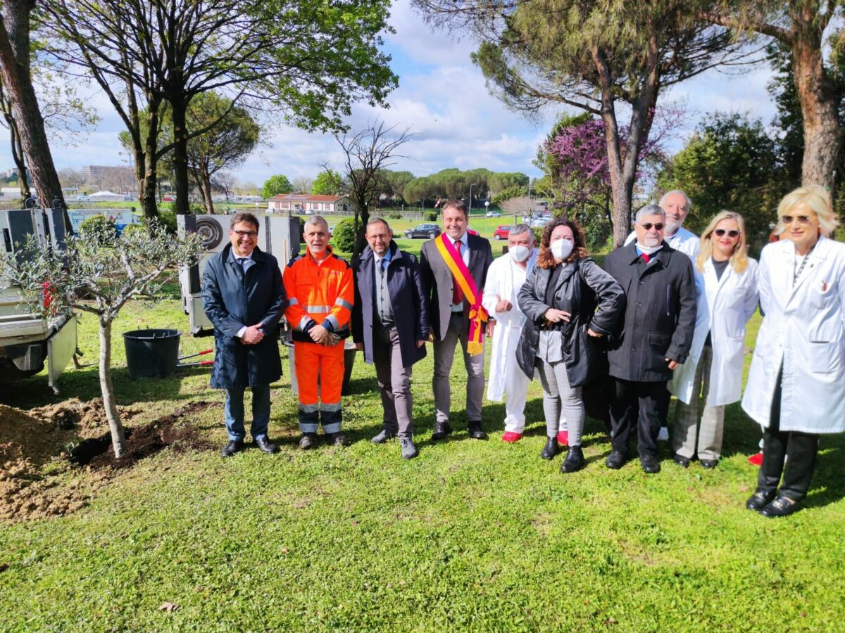 Ulivo al Pertini per commemorare i deceduti da covid
