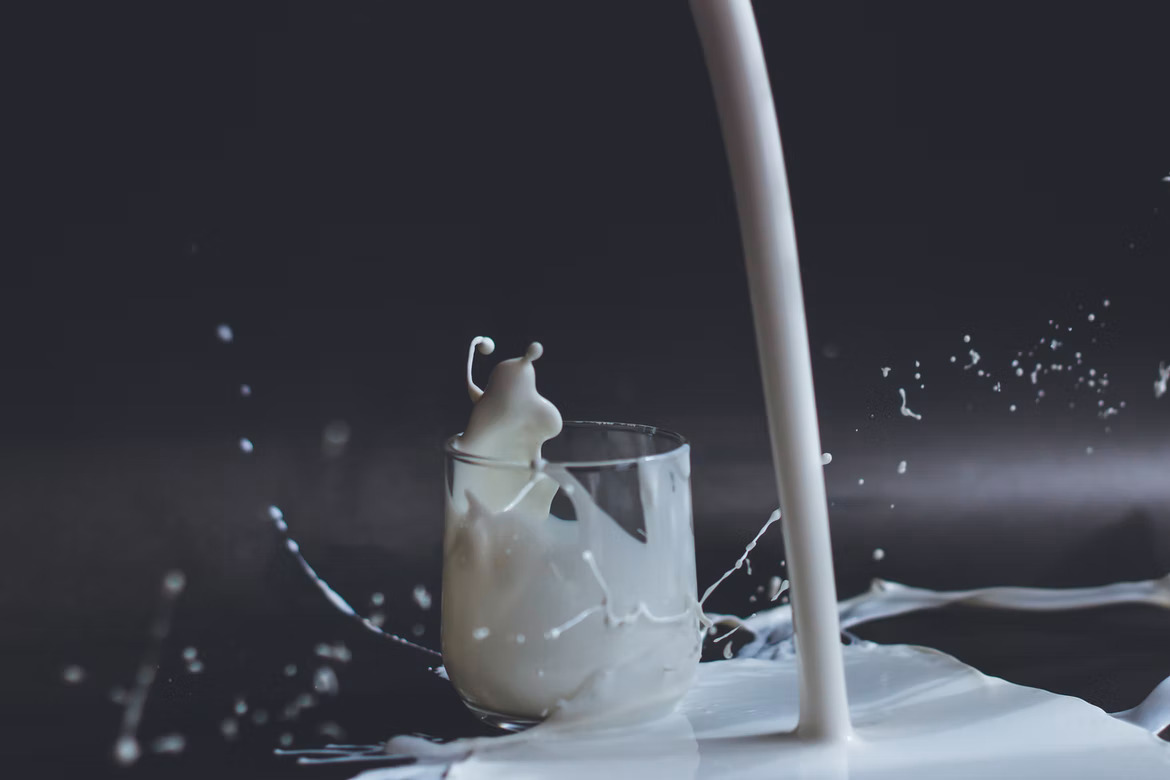 latte
