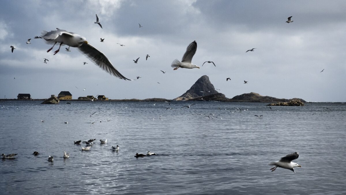 Arctic Tales dal 27 maggio al 4 settembre al Museo di Roma in Trastevere
