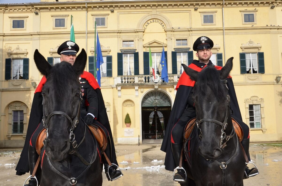 Insieme per conoscere il cavallo