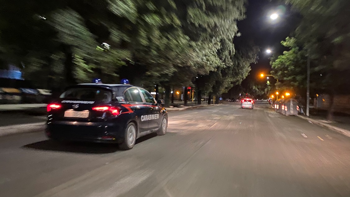 Furto in un vivaio sventato dai Carabinieri