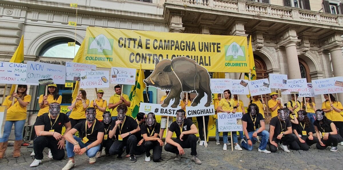 Protesta anti cinghiali in piazza SS. Apostoli