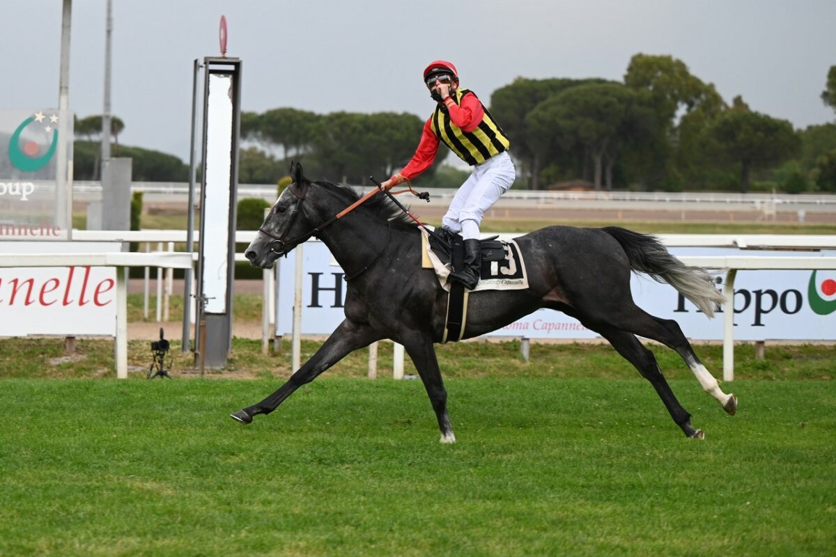 139° Derby Italiano domani all’Ippodromo Capannelle