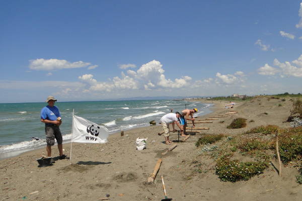 WWF Plastic free 2022