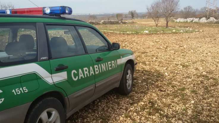 Arma e ACEA per il trattamento green dei rifiuti organici