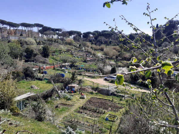 WWF Roma preoccupato per la sorte di Valle Fontana