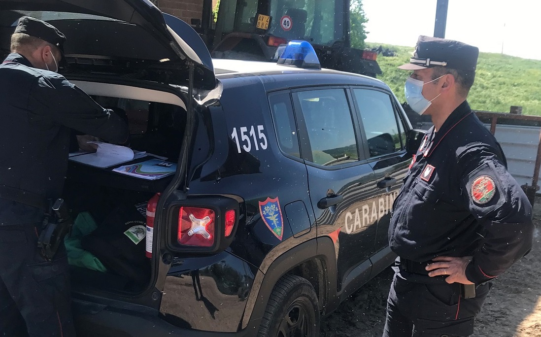 Vini alterati: sequestrati dai NAS due stabilimenti a Roma