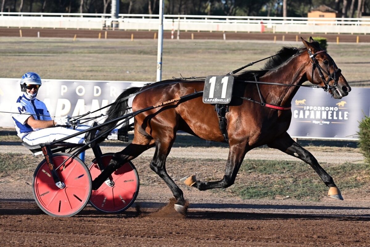 95° Derby Italiano del Trotto e delle Oaks: definiti i partenti