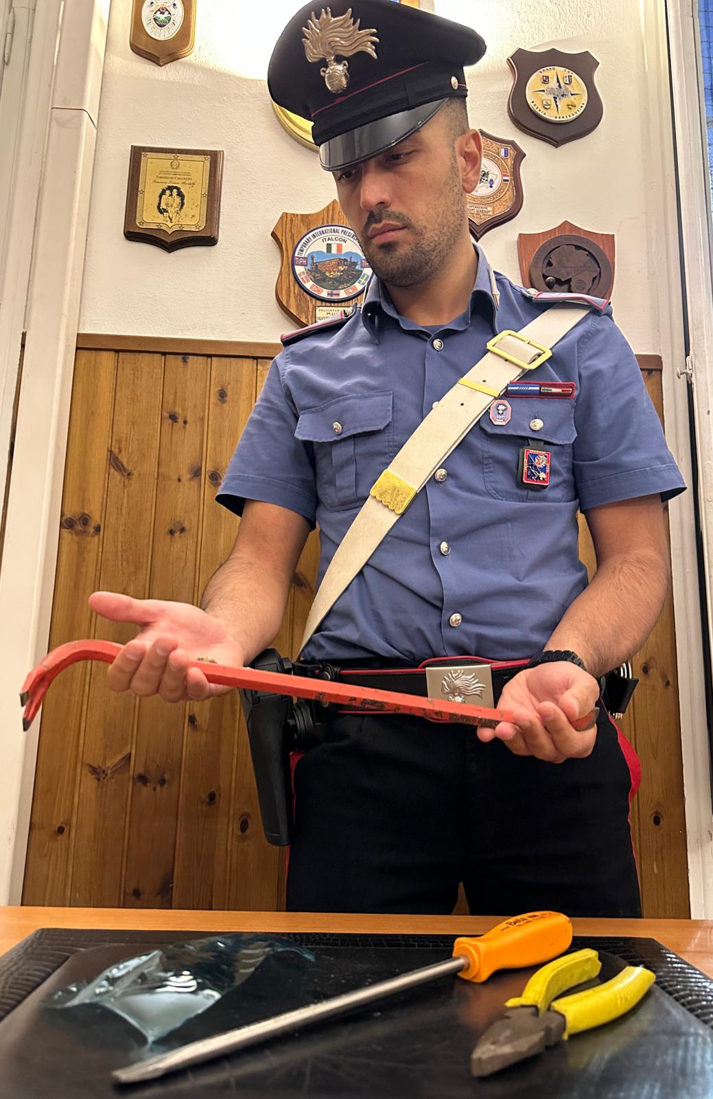 Topine d'appartamento sorprese dai Carabinieri