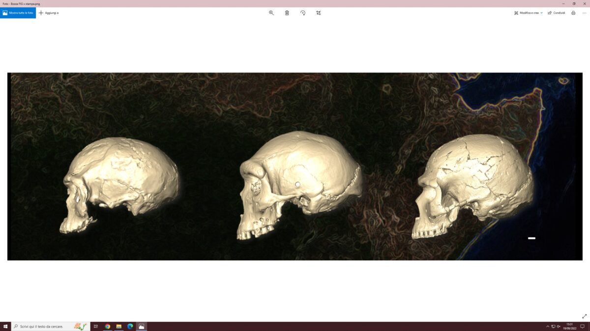 Articolo a firma di docenti dalla Sapienza sull’origine evolutiva di Homo sapiens