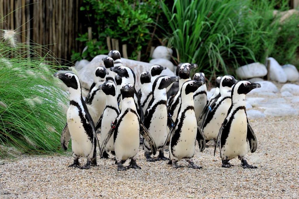 EsploraNatura al Bioparco