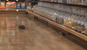 Topo nel supermercato