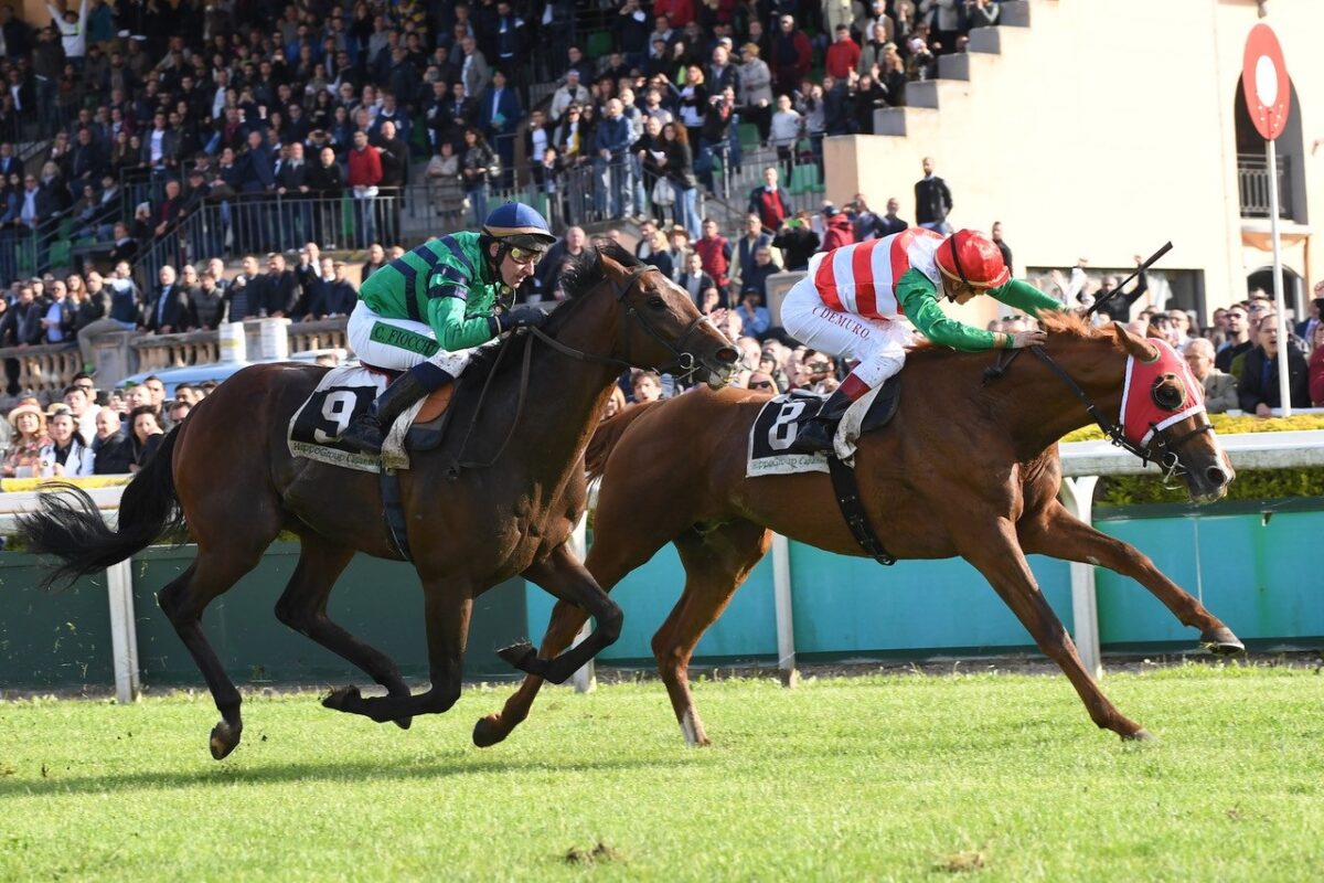 Domenica avvincente all’Ippodromo Capannelle