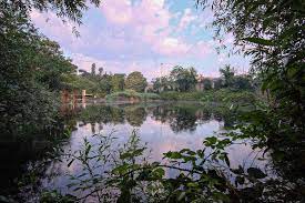 Ampliamento Lago ex Snia