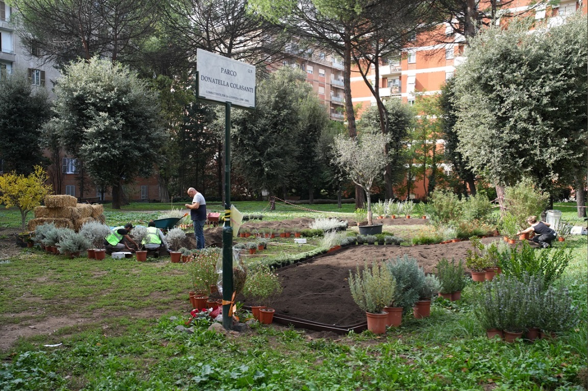 Il nuovo volto del parco Donatella Colasanti