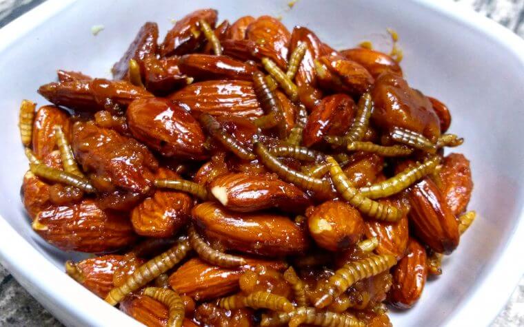 Indicazione della presenza di farine di insetti necessaria per Coldiretti