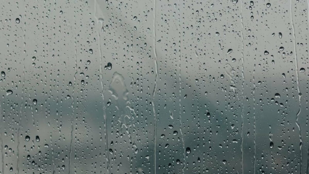 L’arrivo della pioggia salva pesci e mitili d'allevamento