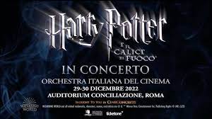 Harry Potter e il calice di fuoco
