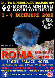 Mostra Minerali e fossili