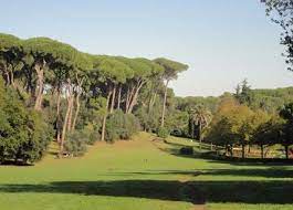 61 interventi per il verde