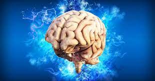 Cervello interruttore genetico