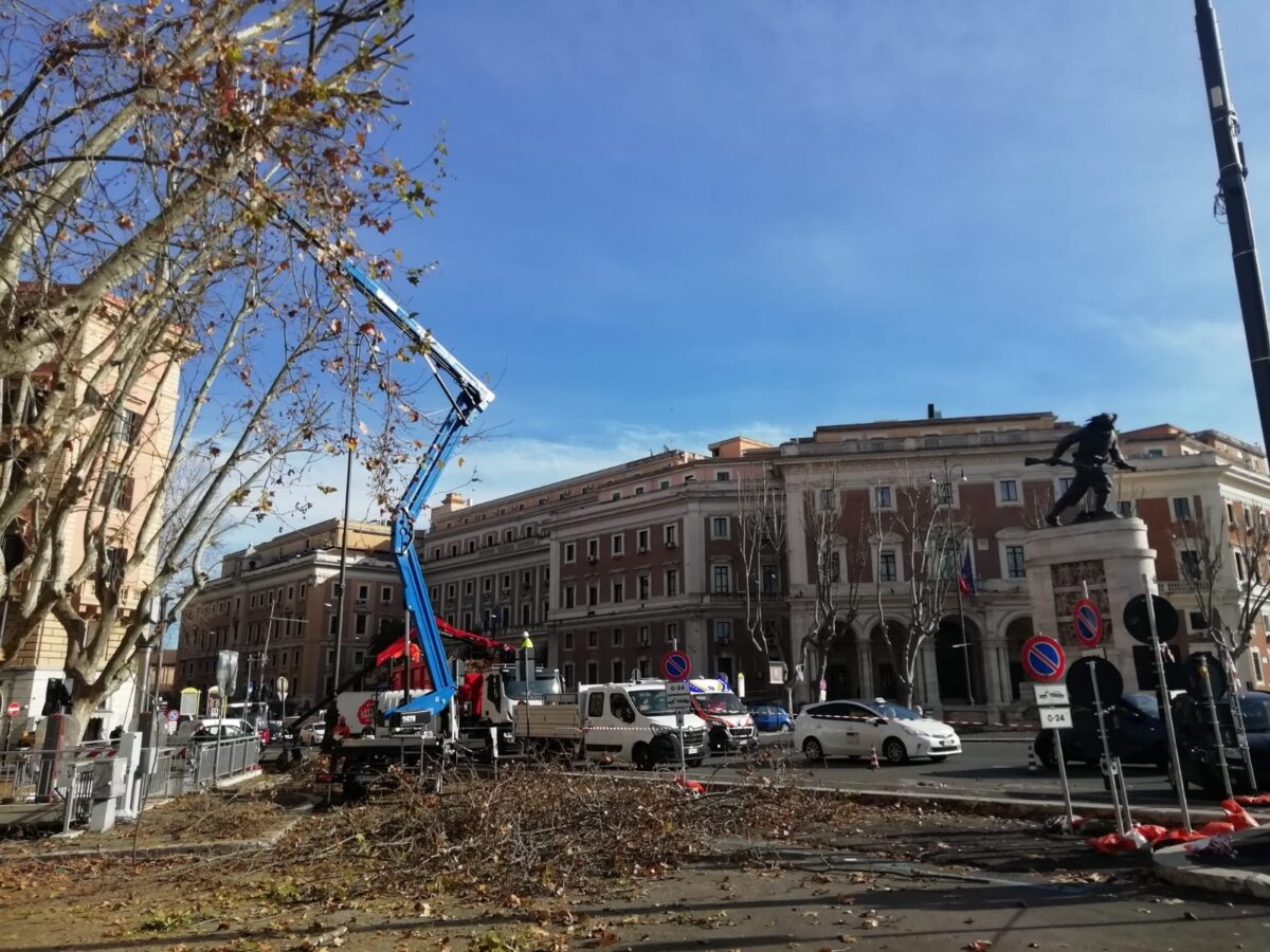 Conclusi i lavori di potatura in Via Nomentana