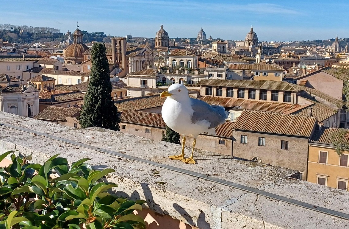 Quaranta anni per acquistare casa a Roma