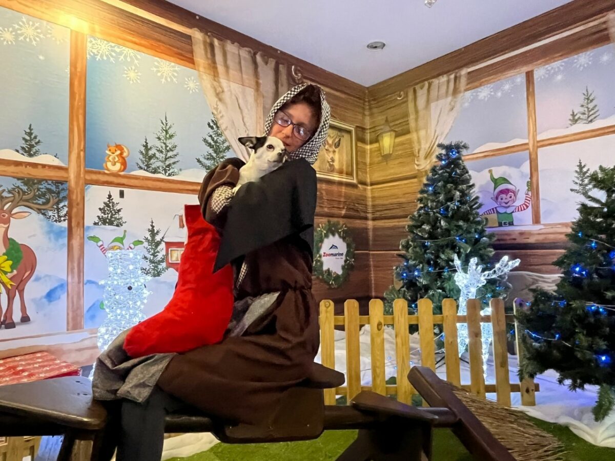 Un calzino a 4 zampe per la Befana di Zoomarine