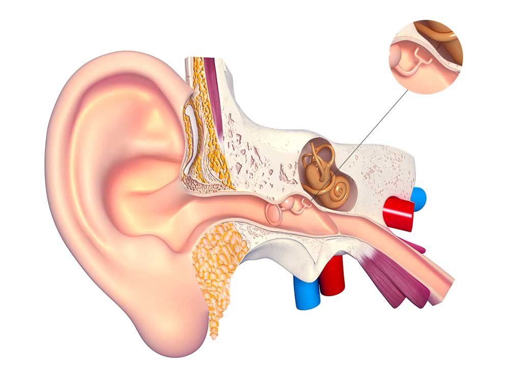 Udito Italia celebra il World Hearing Day a Roma