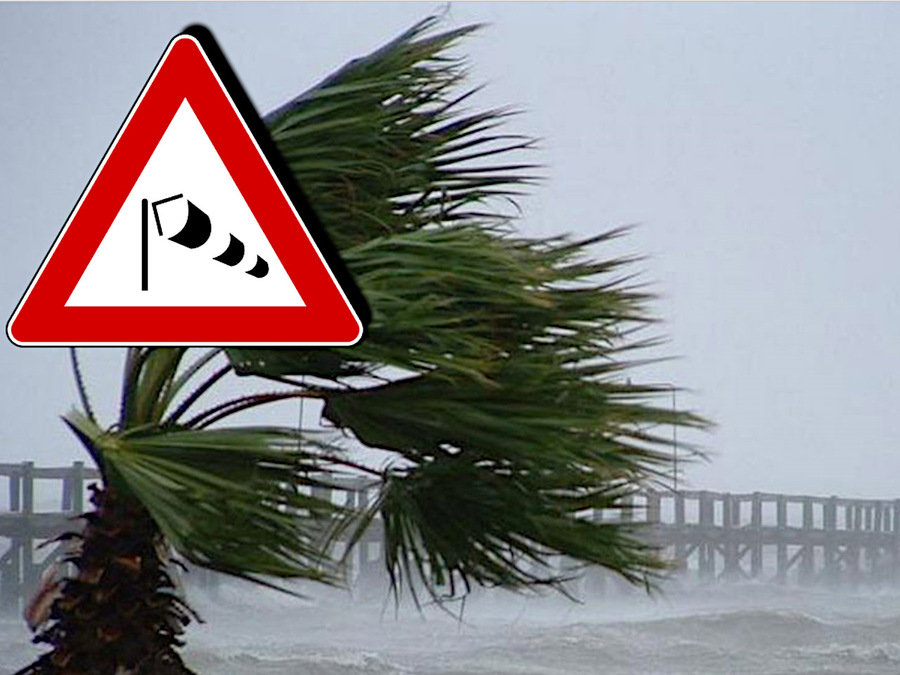 Allerta meteo per vento nel Lazio