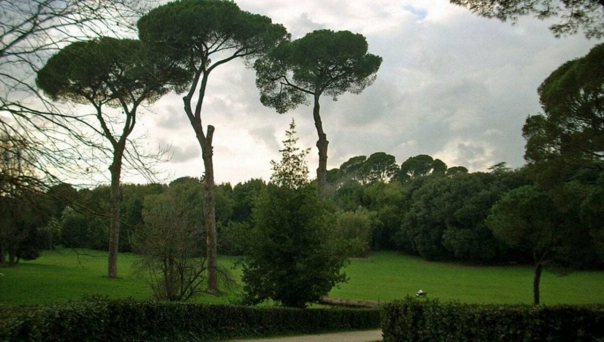 Via la piantumazione 130 alberi