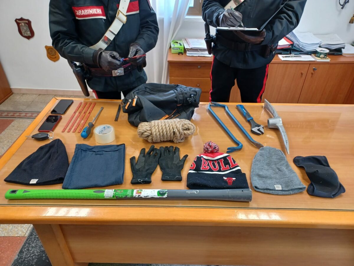 Topi d'appartamento "cubani" in trappola a Santa Severa