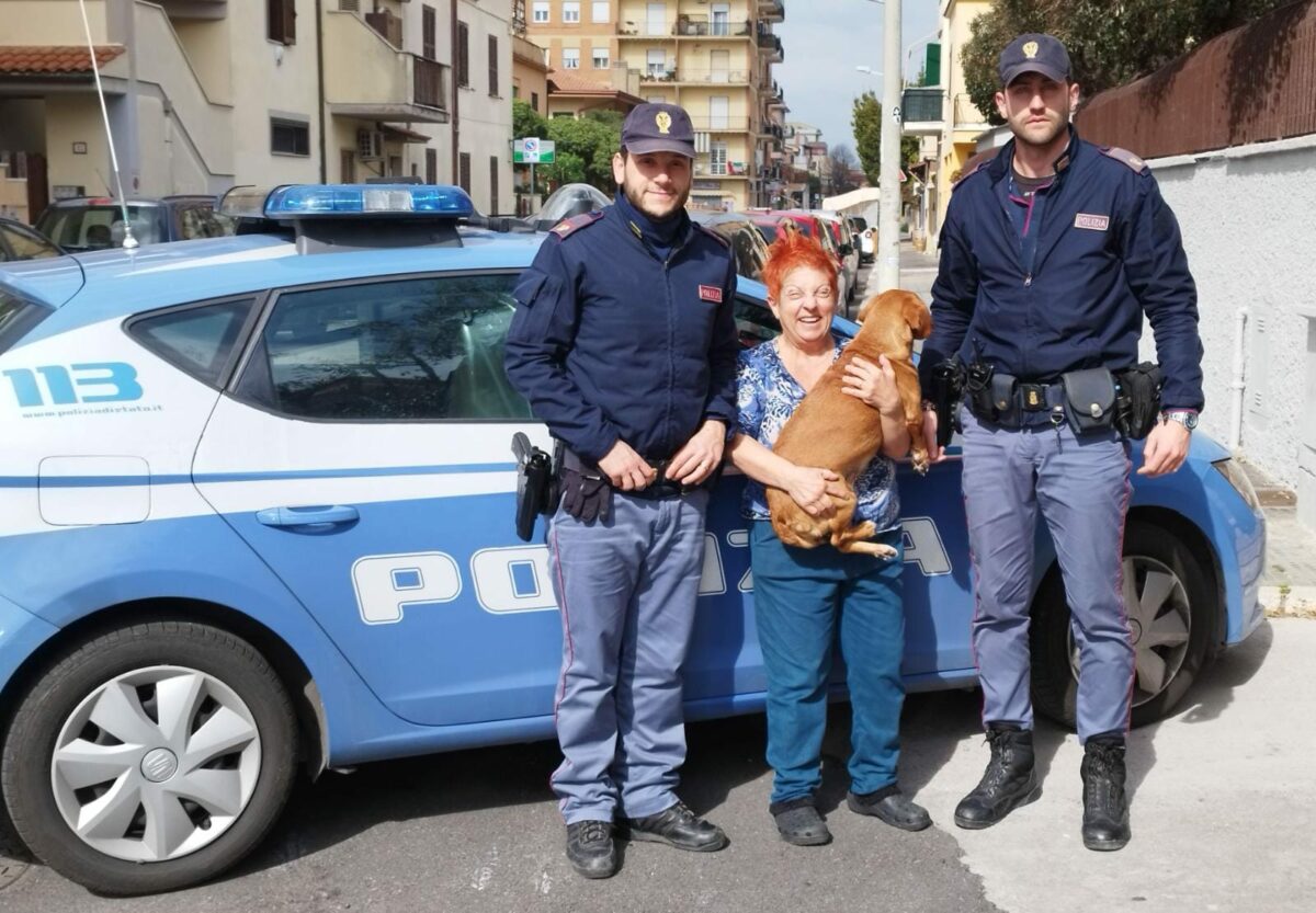 Torna a casa Lessie… con l'aiuto della Polizia