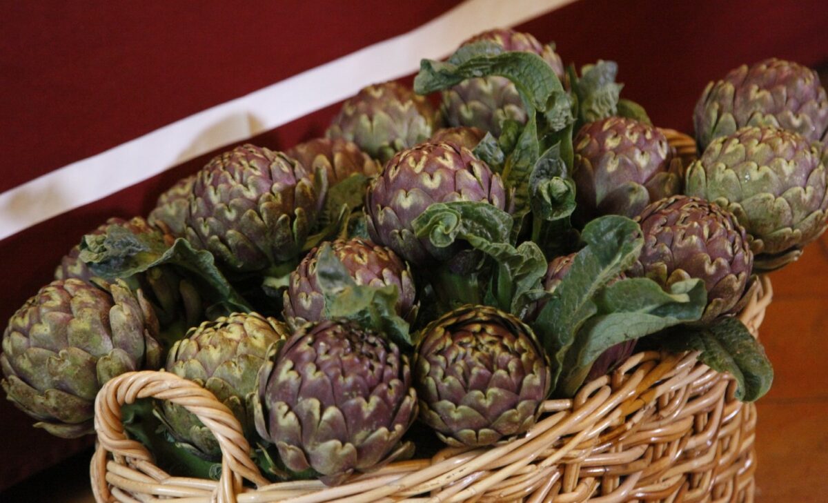 Il Festival del Carciofo Romanesco al via