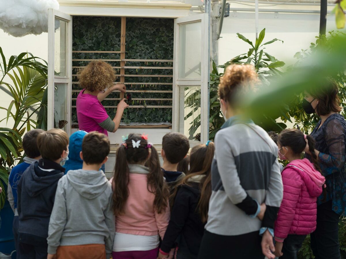 La casa delle farfalle apre sabato all'Appia Joy Park