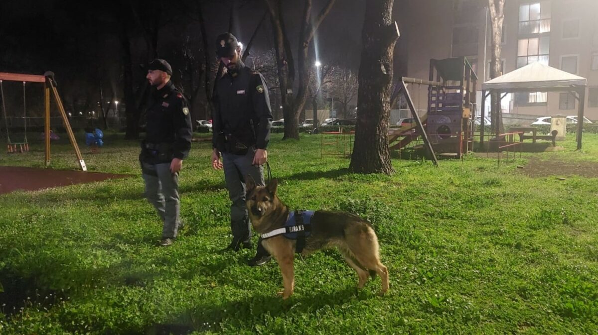 Servizi ad Alto Impatto in zona San Basilio
