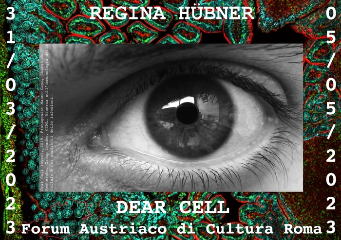 Regina Hubner a Roma