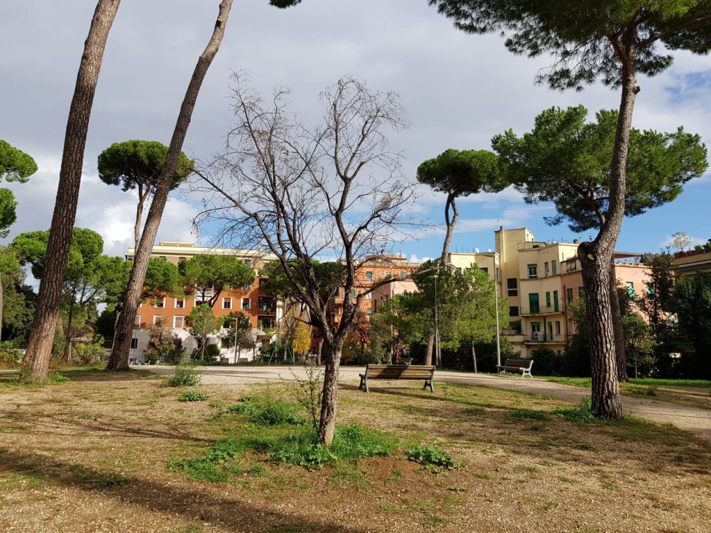 Salvare i 22 pini villa Massimo