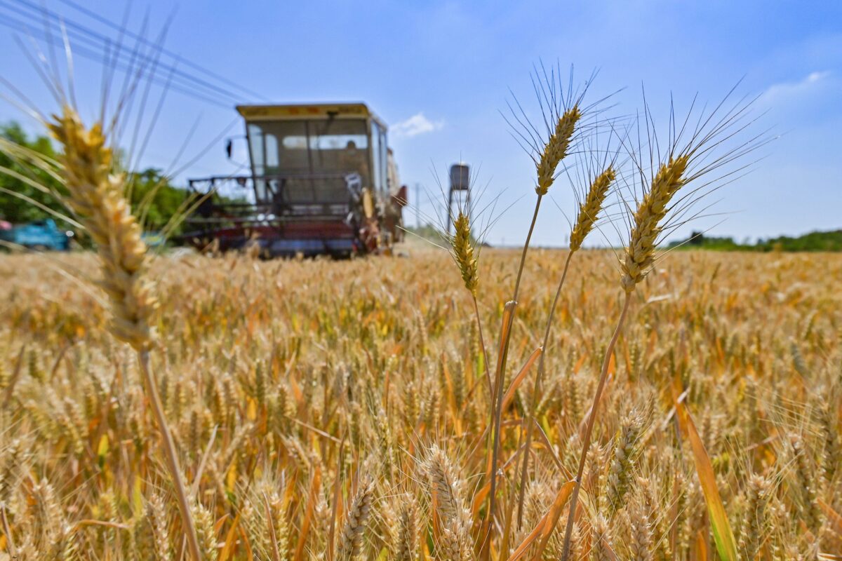 Il fatturato alimentare cresce spinto dall'avvicinarsi del Natale